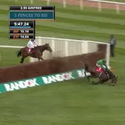 Townend's Aintree Fall Hands Victory to Cheltenham Runner-Up Jango Baie