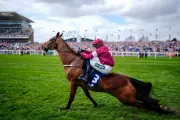 Tragedy at Aintree as Gold Dancer Fatally Injured in Winning Chase