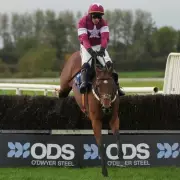 Tragedy at Aintree: Gold Dancer Dies After Winning William Hill Mildmay Novices' Chase