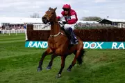 Tragic Victory at Aintree as Gold Dancer Dies After Winning Race