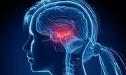 Train Your Brain to Be 18 Years Younger: Expert Guide to Combat Dementia