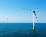 Trump Administration Halts New Wind Energy Projects Nationwide