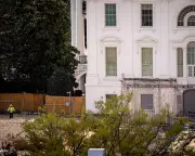 Trump's White House Ballroom Project Faces Crucial DC Planning Vote