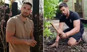 TV Gardener Henry Agg Reveals Five Friends Lost to Suicide, Finds Solace in Gardening