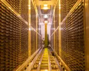 UK Biobank Data Found on Chinese Website Alibaba Cloud