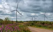 UK Electricity Generation Reaches Highest Domestic Level in Two Decades
