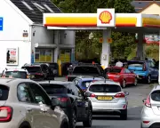 UK Must Build Clean Energy System to Withstand Future Shocks, Says Expert
