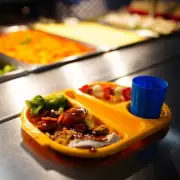 UK School Dinners Overhaul: Deep-Fried Foods Banned in Major Health Drive