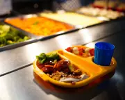 UK School Meal Overhaul Raises Cost Concerns for Caterers