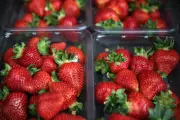 UK Strawberries Hit Shelves Early Thanks to Warm Weather