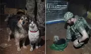 Ukrainian Drone Evacuates Cat and Dog from Frontline in Daring Rescue Mission