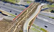 UK's First 'Green Bridge' Opens in Surrey to Aid Wildlife Crossing