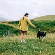 UK's Most Secluded Dog Walks Revealed: Stunning Views and Peaceful Trails