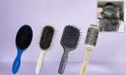 Ultimate Hair Brush Guide: Expert Reviews for Every Hair Type