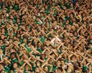 Ultras Documentary Celebrates Football's Most Dedicated Global Fan Culture