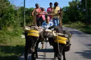 US Energy Blockade Devastates Cuban Farmers and Food Supply