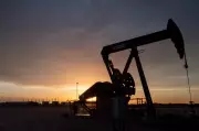 US Energy Independence Questioned as Gulf Crisis Drives Oil Price Surge