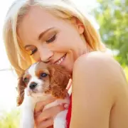 Vet's Top 3 Dog Breeds for First-Time Owners: Greyhounds, Labradors & Border Terriers