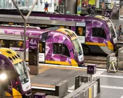 Victoria's Regional Trains Overwhelmed by Free Travel and Holiday Demand