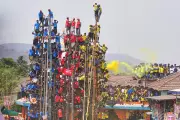 Villagers Compete to Erect Giant Bamboo Poles at Indian Folk Festival