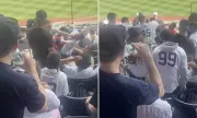Violent Brawl Erupts at Yankee Stadium During Yankees vs Angels Game