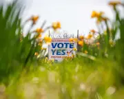 Virginia's Redistricting Referendum: A Pivotal Vote for Congressional Control