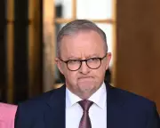 Voters Back Gas Tax Despite Albanese Opposition, Poll Shows