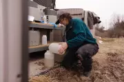 Warming Winters Intensify Nitrate Pollution in Farmland Drinking Water
