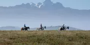 Why a Kenyan Safari Conservancy Wants You to Ditch the Car