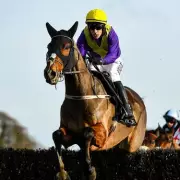 Why Horses Wear Masks at the Grand National: A Guide to Racing Headgear