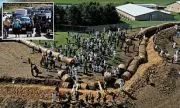 Wisconsin Beagle Farm Raid: Over 25 Animal Rights Activists Arrested After Violent Clash
