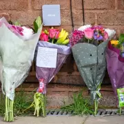 Woman in Her 70s Dies in Wolverhampton Dog Attack, Third UK Fatality in Days