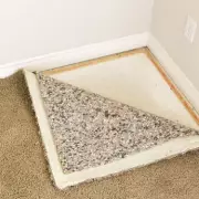 Woman's DIY Renovation Reveals Stunning Wooden Floorboards Under Old Carpet