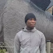 Woolwich Shooting Victim Named as Eghosa Ogbehor, 14, After Fatal Incident