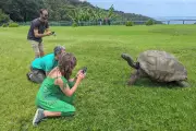 World's Oldest Tortoise Jonathan Alive Despite April Fools' Death Hoax