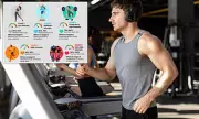 Zone 2 Training: The Moderate Exercise Revolution Challenging 'No Pain, No Gain'