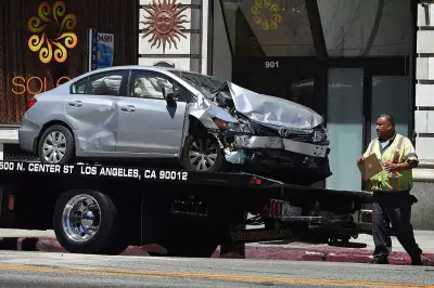 1.7 Million Animal Collisions Cost US Economy $10 Billion Annually