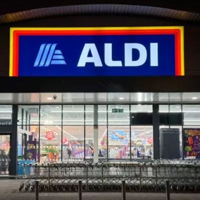 Aldi's £10 Solar Rock Lights Rival B&Q's £20 Garden Set