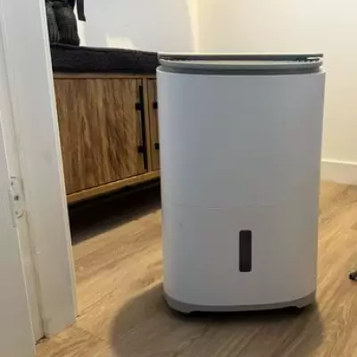 Amazon Dehumidifier Dries Clothes Fast and Eliminates Damp Smell