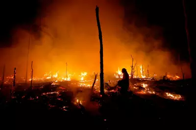 Amazon Forest Degradation Threatens Brazil's Deforestation Gains