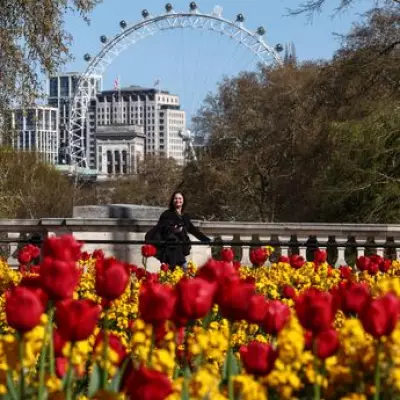 American in London Notices How Bank Holidays Change Brits