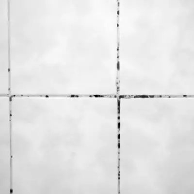 Banish Black Mould from Bathroom Grout in 10 Minutes with Baking Soda