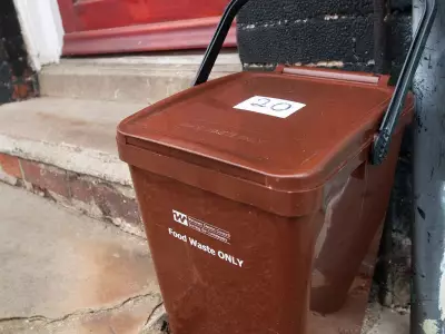 Binman's Top Tips for Food Waste Caddy Users Across UK