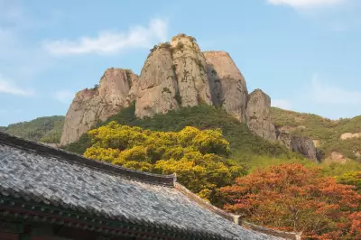 Body of Missing 11-Year-Old Boy Found in South Korean National Park