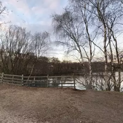 Body of Teen Boy Found in Lake After Swimming Incident
