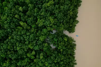 Brazil Commits $617.5M to Amazon Ecological Investment Plan