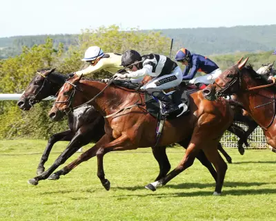 British racing on alert as equine flu cases surge across the country