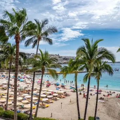 Canary Islands Heatwave Alert: Temperatures to Hit 37C, Avoid Alcohol