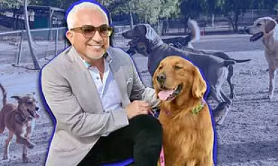 Cesar Millan's AI Dog Collar: $524 High-Tech Tool for Pet Owners