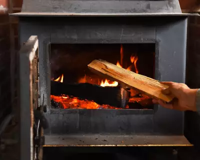 Charities Urge New Clean Air Act to Ban Wood Burning in UK